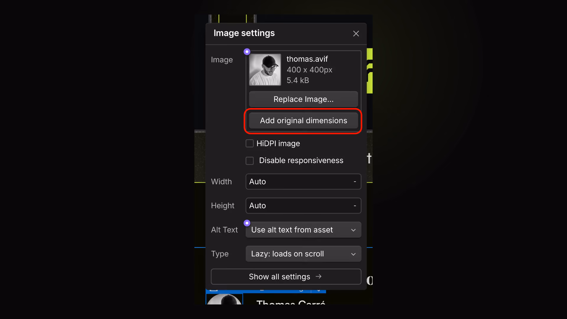 Original Image Dimensions